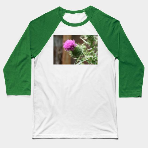 Thistle Baseball T-Shirt by Rob Johnson Photography